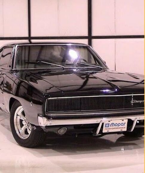 Retro Catigories English_page-0029